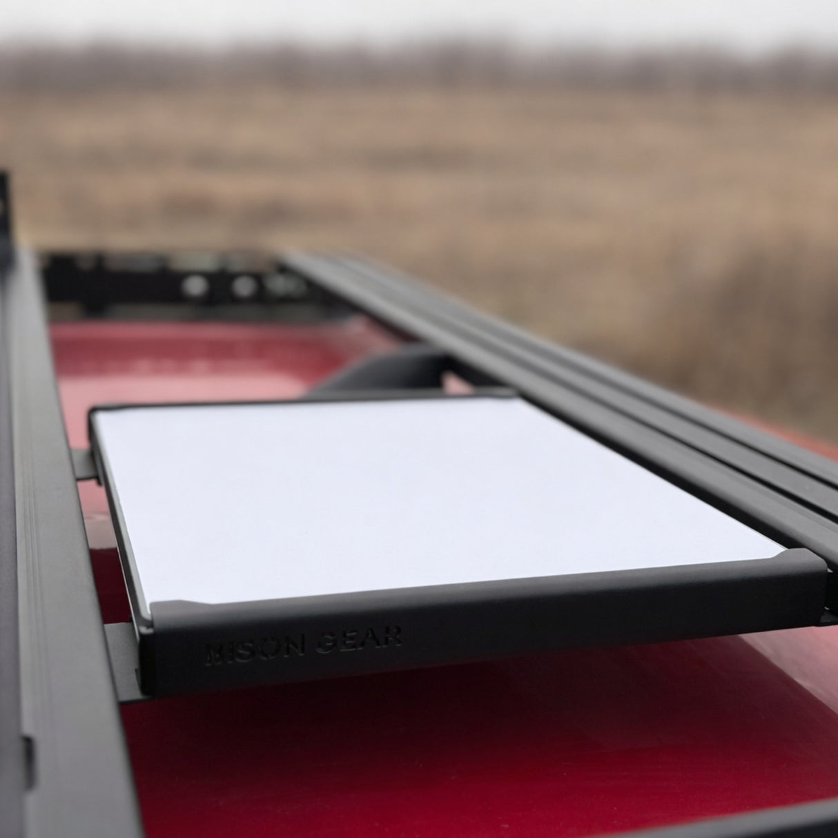 STARLINK Mount-2-Bison Gear