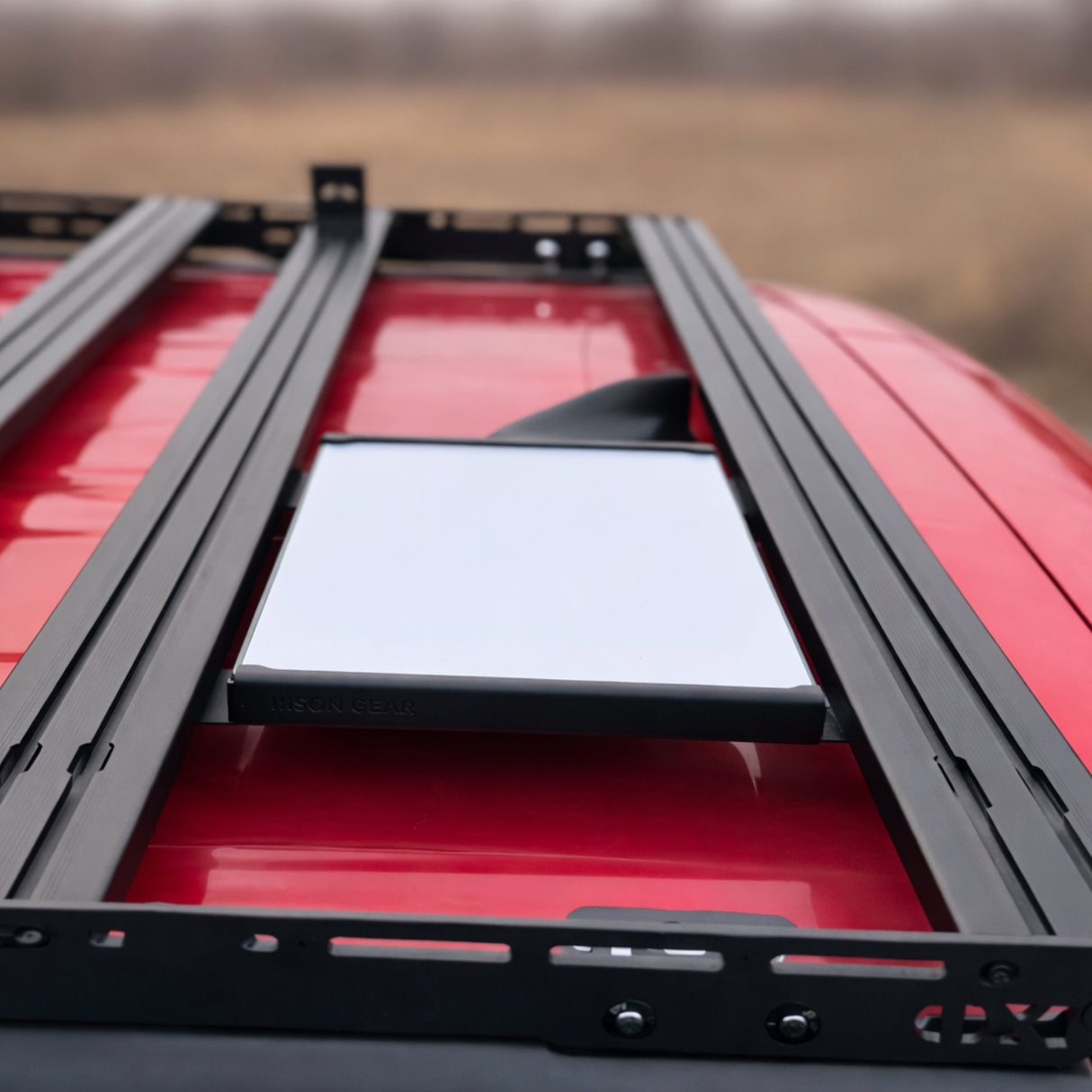 STARLINK Mount-3-Bison Gear