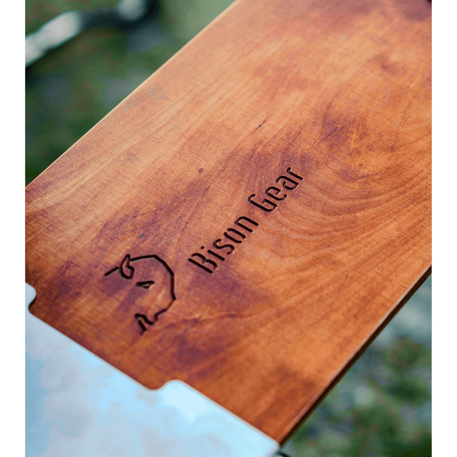 Drop - Down Tailgate Table - Bison Gear