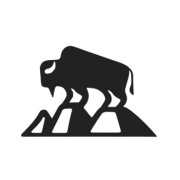 Bison Gear logo