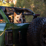 Roof Shelf - FORD Bronco 6G 4 - Door - Bison Gear