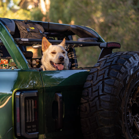 Roof Shelf - FORD Bronco 6G 4 - Door - Bison Gear