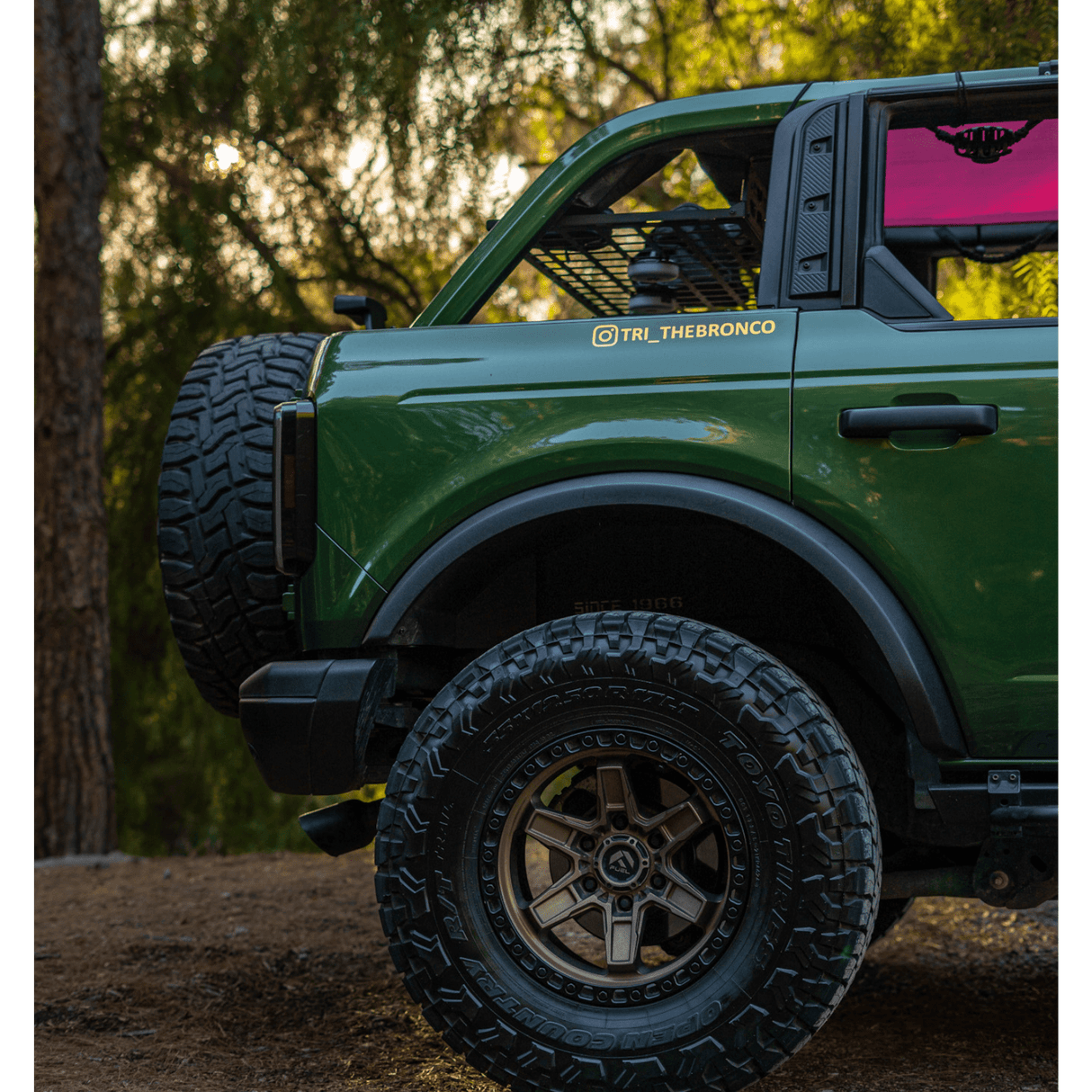 Roof Shelf - FORD Bronco 6G 4 - Door - Bison Gear